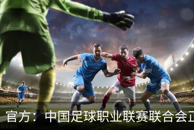 官方：中国足球职业联赛联合会正式成立