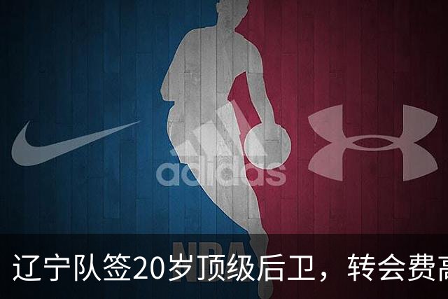 辽宁队签20岁顶级后卫，转会费高达8位数；北控官宣多名外援
